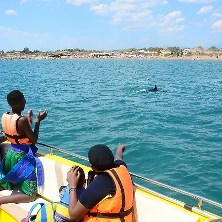 The Sansa & 马纳夫加特